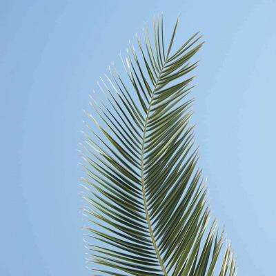 又是百股破净！历史数据显示，市场底已越来越近